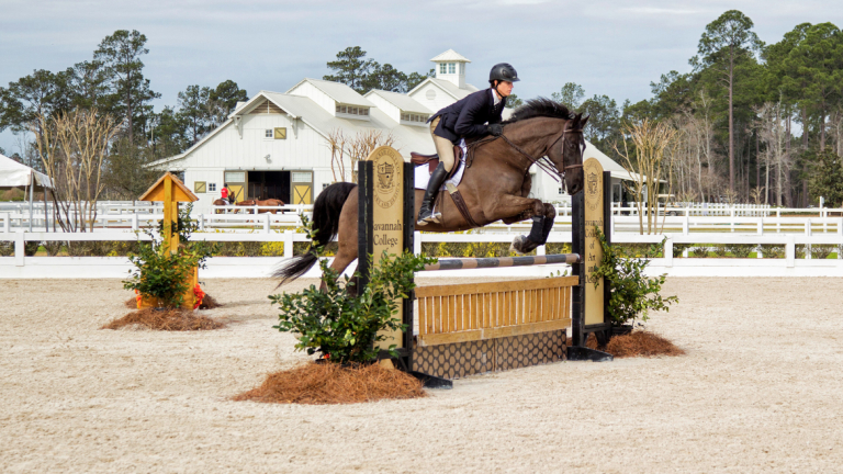 Equestrian Studies Degrees | Equestrian Studies Programs | SCAD.edu